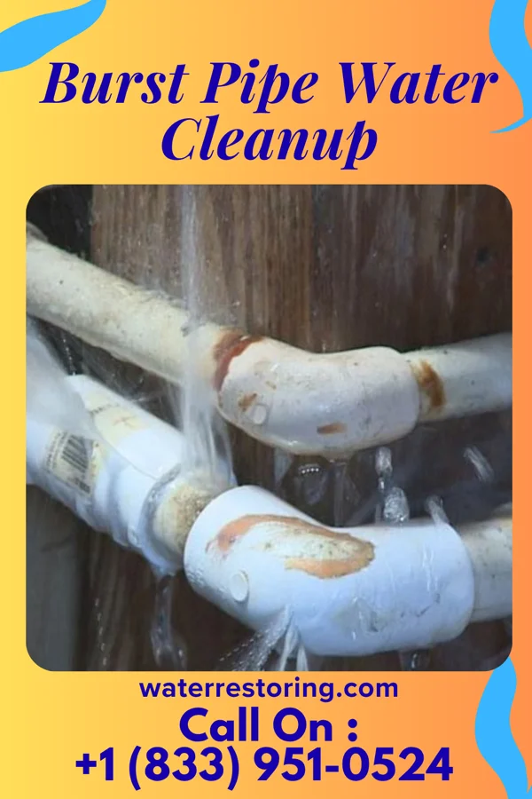 Burst Pipe Water Cleanup in Bennettsville, SC